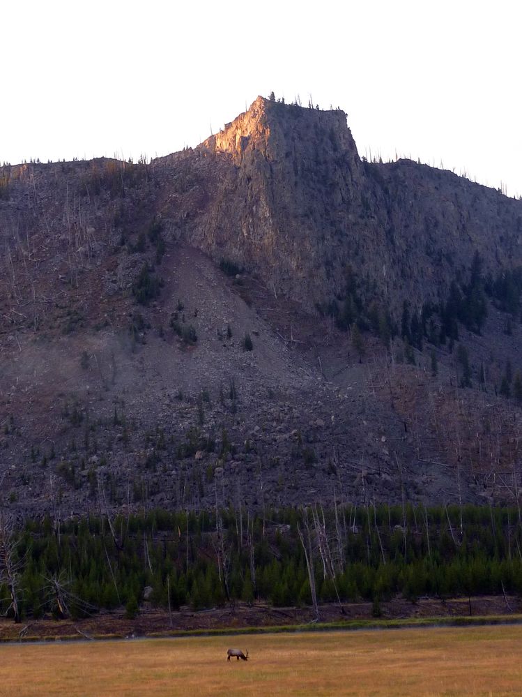 Yellowstone (47).JPG